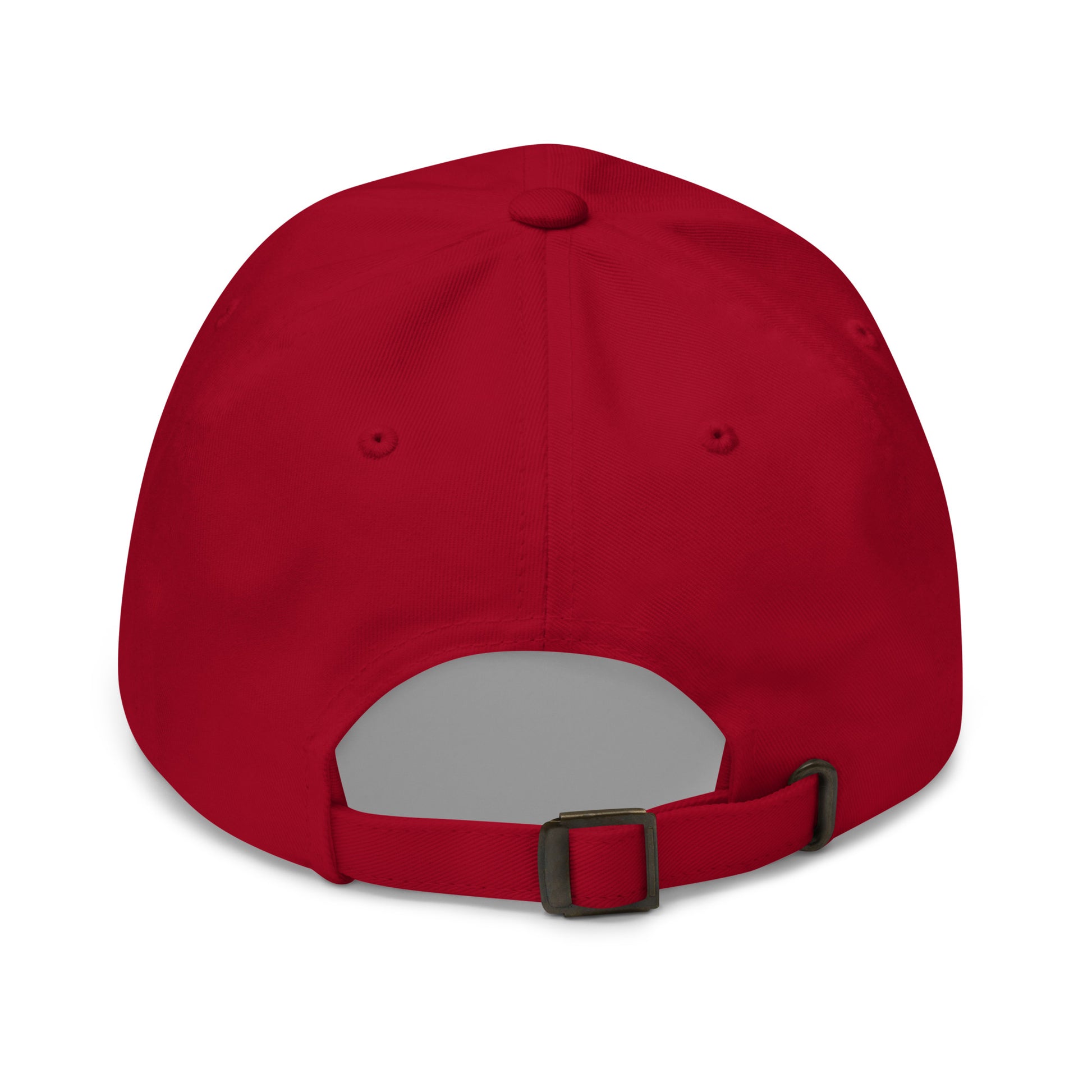 Dad Hat - "Pickleball USA" + ball - DocDink.com