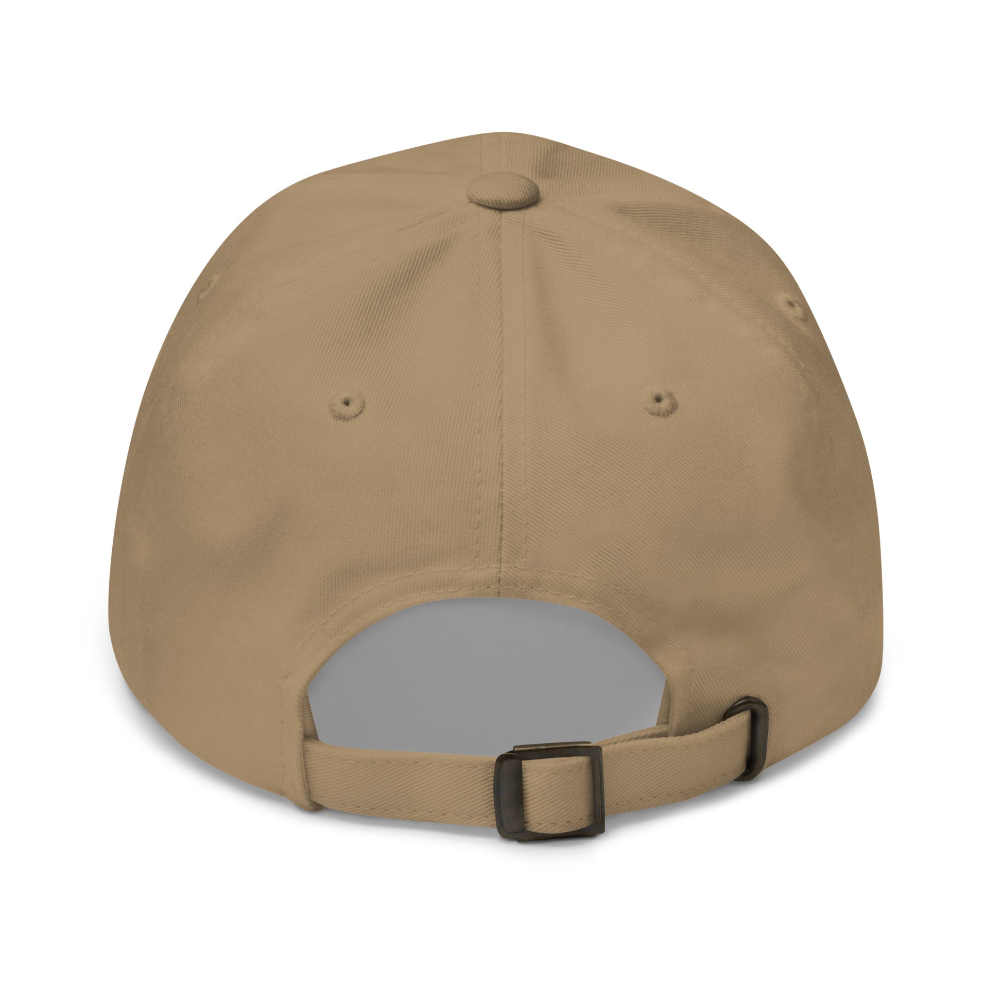 Dad Hat - "Pickleball USA" + ball - DocDink.com