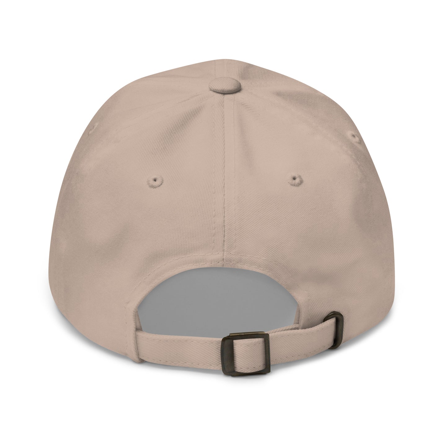 Dad Hat - "Pickleball is the Cure" - DocDink.com