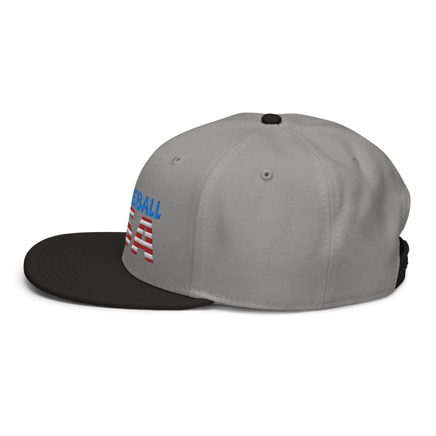 Snapback Hat - "Pickleball USA" - DocDink.com